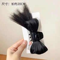 Hairstyle Extension clutcher