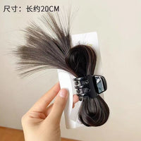 Hairstyle Extension clutcher