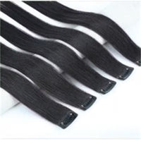 Clip on Hair Extensions for Women