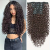 Curly Clip-In Hair Extensions